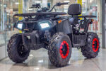 ATV SHARK 200